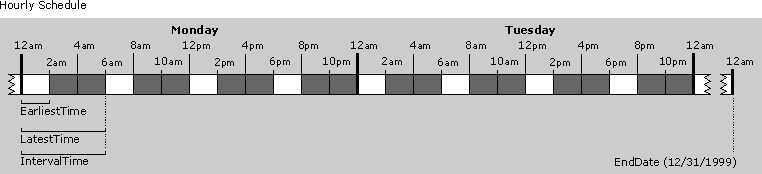 Hourly Schedule